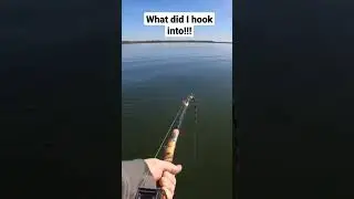 monster fish pulling drag! what is it?? #fishing #outdoors #drag #rodbender #meathunterrods