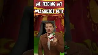 Wizard101 pet training is awesome