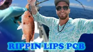 PCB, Fl Fishing Charter (Triggerfish , Redfish , Beeliner , Red Grouper and Red Snappers)