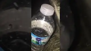 INSANE WATER BOTTLE FLIP!!!