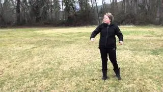 Overcoming dog/dog aggression (reactivity)