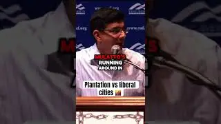 This is the comparison between plantations and liberal cities.. #politics #conservative #america