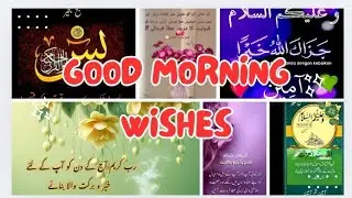 Best Good Morning Quotes | Subah Bakhair stickers | Walaikum salam Wishes For Love✨💚 | Dua In Quran