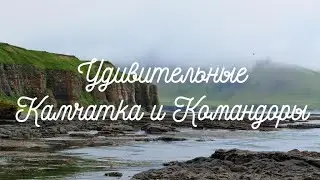 Удивительная Камчатка и Командоры