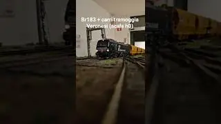 BR193 + Carri Tramoggia VERONESI in transito sul plastico!