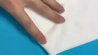 made with Biodegradable polyester fiber (using for shoes insole non woven) - made using needle punch
