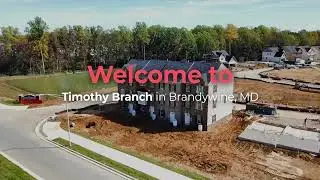 Why TIMOTHY BRANCH neighborhood?
