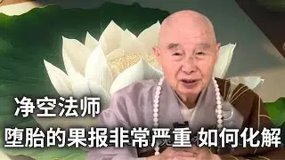 净空法师：堕胎的果报非常严重 如何化解