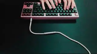 [Soundtest] Lin Whale Anniversary with lubed Gateron Hippos