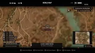 Raiden in The Witcher