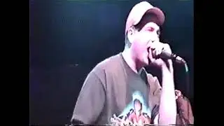 Level Jumpers Wired Frog 2001