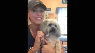 Shampooches pet grooming! The channel! AKA Dog Dynasty!