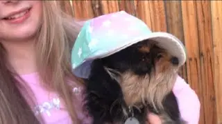 🌈Mini Justice Haul 2017 🌈 CLOTHING💁 MAKEUP💋 PUPPY 🐶
