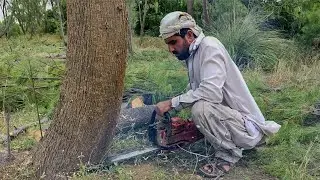 Testing Chinese $100 COPY Stihl Chainsaw | Logging in Extreme Weather | Zar Auto