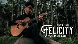 Sungha Jung - Felicity (Cover by Ali Anvari)