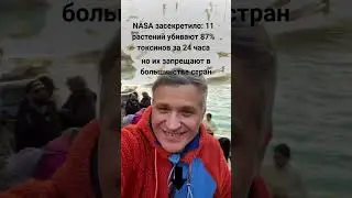 Исследование 1989 года потрясло индустрию воздухоочистителей