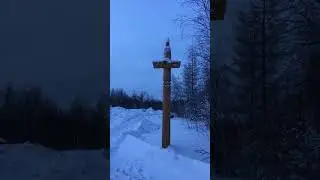 #командировка #работа #дорога #бульдозер #2024