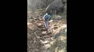 Yercaud trekking
