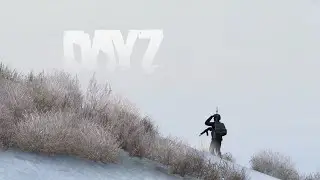 Моё первое путешествие по Намальску.  Путь к Афине | DayZ