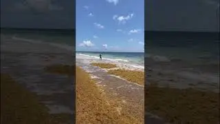 Fly fishing the Yucat&aacute;n for Bonefish & Tarpon. May &lsquo;22