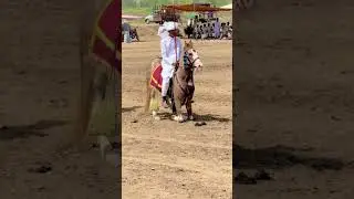 Neza Bazi 2025#tentpegging #horse #nezabazihorse #horseriders #nezabazipakistan #horseviralvideo