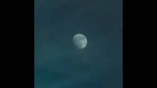 harsh realm, slowed to perfection