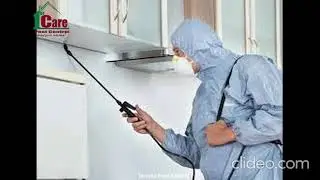 Termite Protection In Melbourne | Termite Protection Melbourne | Melbourne Termite Protection
