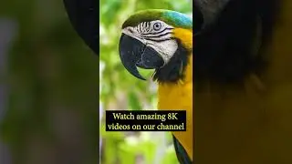 8k Relax Video| 8K amazing videos| 8K Universe| 8K UHD videos