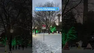 Niagara Parks #christmas #niagarafalls #shorts