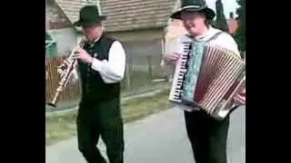 Vindornyafok Tárogató  Harmonika