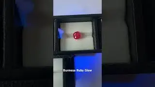 Burmese rubies glow vivid red in UV light. A natural magic from Burma&rsquo;s Famed chromium-rich mines.