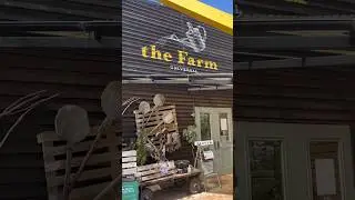 今日の&ldquo;the Farm UNIVERSAL&rdquo; 2023.4.23大阪♪１日遊べる植物の楽園#shorts #ガーデニング #ナチュラルガーデン #flower #園芸店 #花のある暮らし #観葉植物