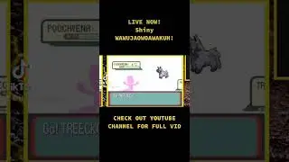 SHINY Wawujaowoawakuh! Full vid:  