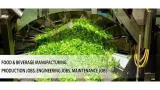 Food product development jobs online at foodemployment com