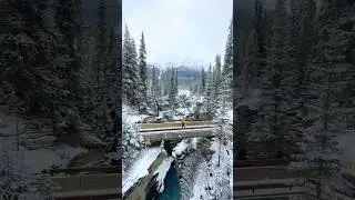 Winter wonderland in Jasper National Park ❄️🏔️ #canada #earth
