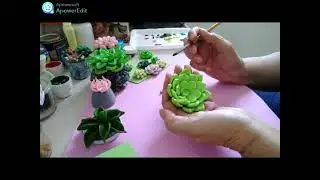 Pintura de Suculenta Em Biscuit Com Tinta a Óleo