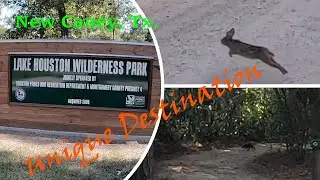Lake Houston Wilderness Park, Unique Destination, Motorcycle travel, Texas