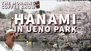 HANAMI 