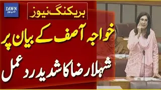 PPP Leader Shehla Raza Fierce Response on Khawaja Asif Comment on 18th Amendment | Dawn News
