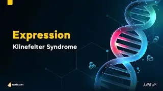 Klinefelter Syndrome | Expression | Pediatric Genetics Lecture for Students | V-Learning&trade;