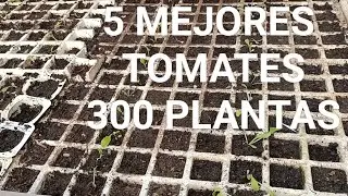 En ENERO llena el SEMILLERO