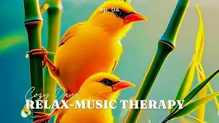 Beautiful Relaxing Music With Bird Sounds 🐦 Piano Music, Positive Energy For Morning, Study and Work