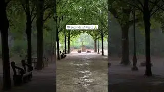 10 Seconds of Relaxation with Rain Sounds #10secondvideo #meditation #relaxation