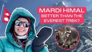 Mardi Himal trek: найбільш недооцінений трек у Непалі? [ENG SUB]