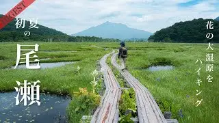 【尾瀬】ダイジェスト ずっと行きたかった！憧れの尾瀬ヶ原を歩く　４K