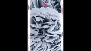 Speck Products CandyShell Inked Luxury Edition Case for iPhone 6 Plus/6S Plus