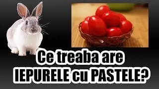 Ce treaba are IEPURELE cu PASTELE?