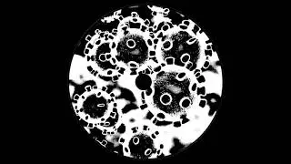 NALDI - Lockdown