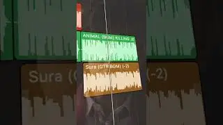 Single Loop 🔁 | Animal 4 in 1 BGM Mix 🔥😮&zwj;💨