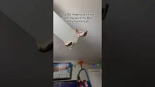 This is great🤣 #snake #youtubeshorts #shorts #reptiles #pets #cute #funny #viral #cool